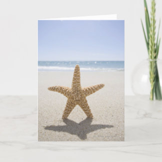 USA, Massachusetts, Cape Cod, Nantucket, close Card