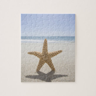 USA, Massachusetts, Cape Cod, Nantucket, close Jigsaw Puzzle