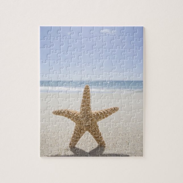 USA, Massachusetts, Cape Cod, Nantucket, close Jigsaw Puzzle (Vertical)