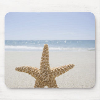USA, Massachusetts, Cape Cod, Nantucket, close Mouse Pad