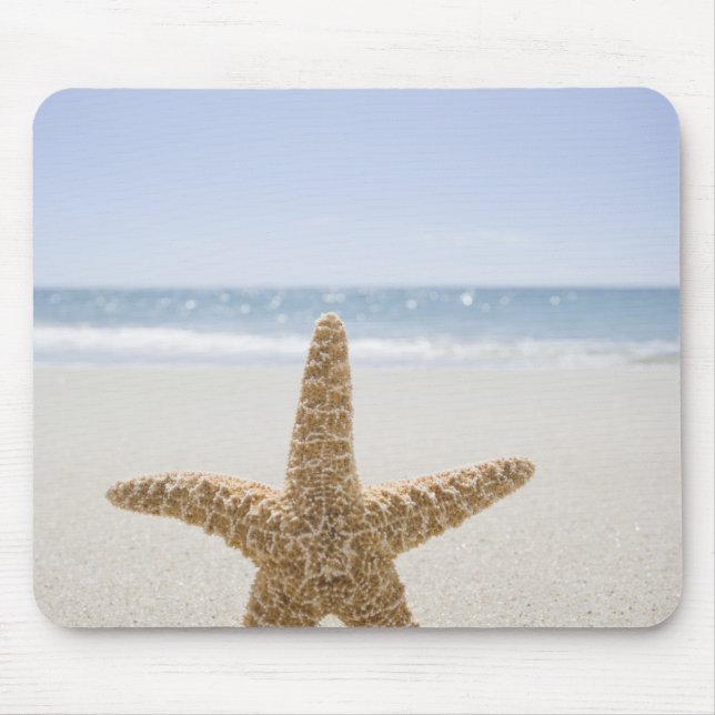 USA, Massachusetts, Cape Cod, Nantucket, close Mouse Pad (Front)