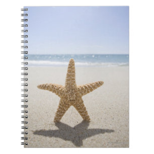 USA, Massachusetts, Cape Cod, Nantucket, close Spiral Notebook