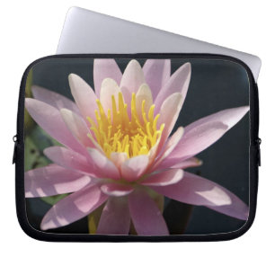 USA, Massachusetts, Great Barrington, lily pad Laptop Sleeve