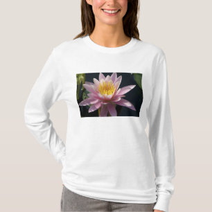 USA, Massachusetts, Great Barrington, lily pad T-Shirt