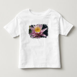 USA, Massachusetts, Great Barrington, lily pad Toddler T-Shirt
