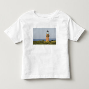 USA, MASSACHUSETTS, Martha's Vineyard: Aquinnah Toddler T-Shirt