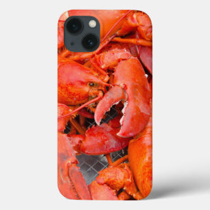 USA, Massachusetts, Martha's Vineyard iPhone 13 Case