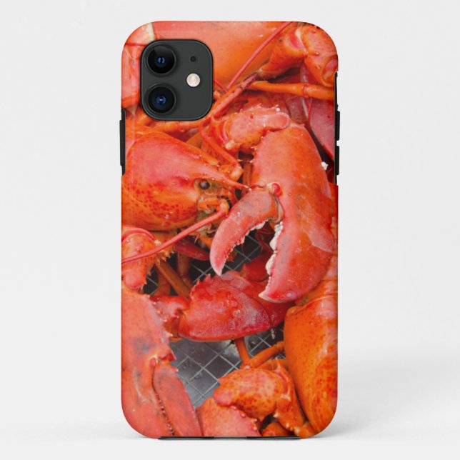 USA, Massachusetts, Martha's Vineyard Case-Mate iPhone Case (Back)