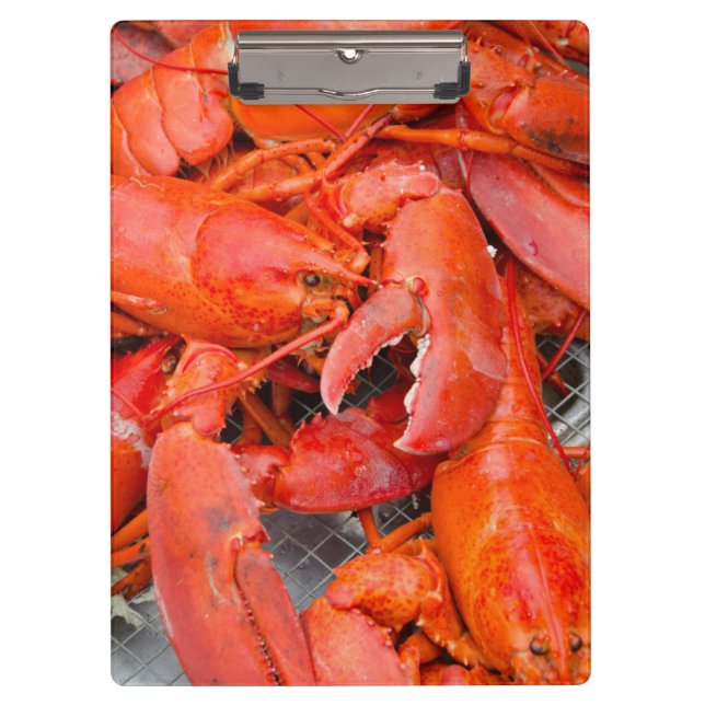 USA, Massachusetts, Martha's Vineyard Clipboard (Front)