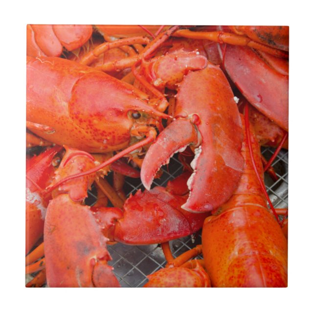 USA, Massachusetts, Martha's Vineyard Tile (Front)