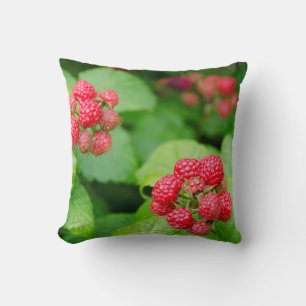 USA, Massachusetts, Nantucket. Ripe Raspberries Cushion