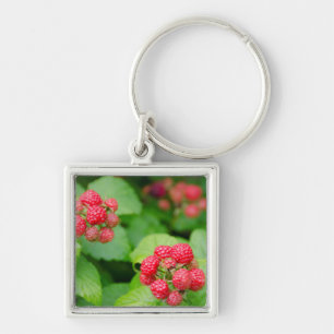 USA, Massachusetts, Nantucket. Ripe Raspberries Key Ring