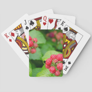 USA, Massachusetts, Nantucket. Ripe Raspberries Playing Cards