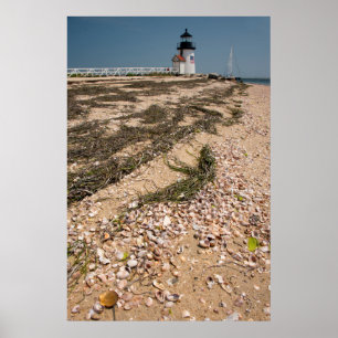 USA, Massachusetts, Nantucket. Shell Poster