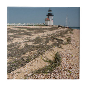 USA, Massachusetts, Nantucket. Shell Tile