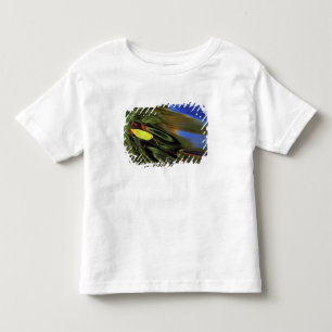 USA, Michigan, Birch leaf in river with autumn Toddler T-Shirt