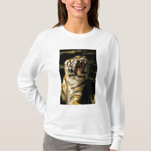 USA, Michigan, Detroit. Detroit Zoo, tiger T-Shirt