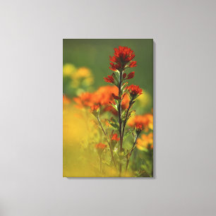 USA, Michigan, Drummond Island, Maxton Plains, Canvas Print