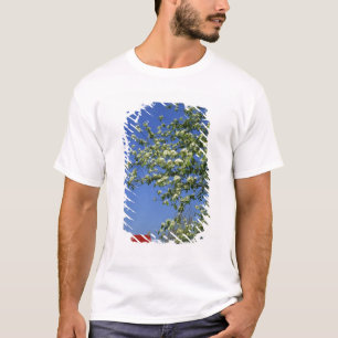 USA, Michigan, East Tawas. Tawas Lighthouse with T-Shirt