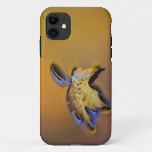 USA, Michigan, Maple leaf floating on water iPhone 11 Case