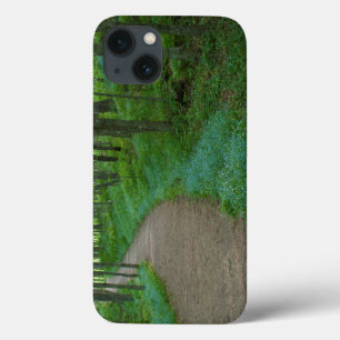 USA, Michigan. Miner's Falls Trail iPhone 13 Case