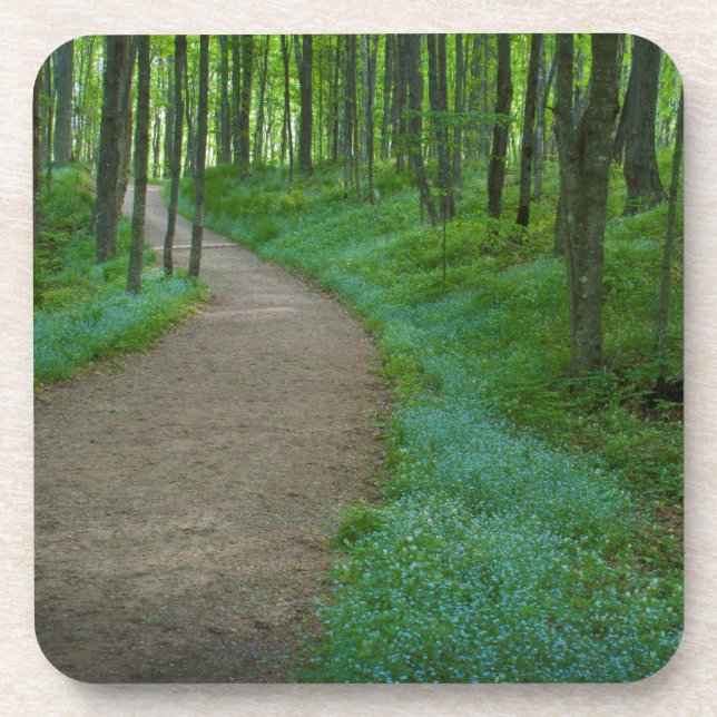 USA, Michigan. Miner's Falls Trail Coaster (Front)