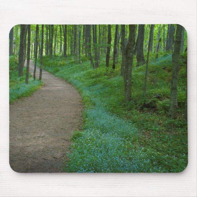 USA, Michigan. Miner's Falls Trail Mouse Pad (Front)