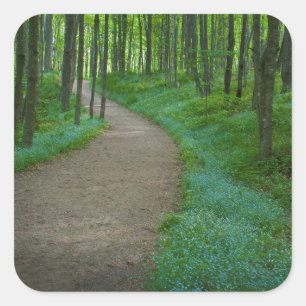 USA, Michigan. Miner's Falls Trail Square Sticker