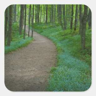 USA, Michigan. Miner's Falls Trail Square Sticker