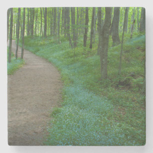 USA, Michigan. Miner's Falls Trail Stone Coaster
