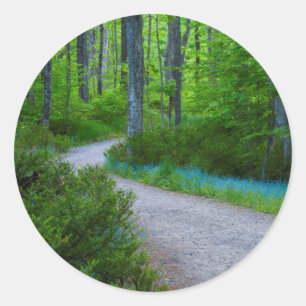 USA, Michigan. Path Thru The Woods Classic Round Sticker