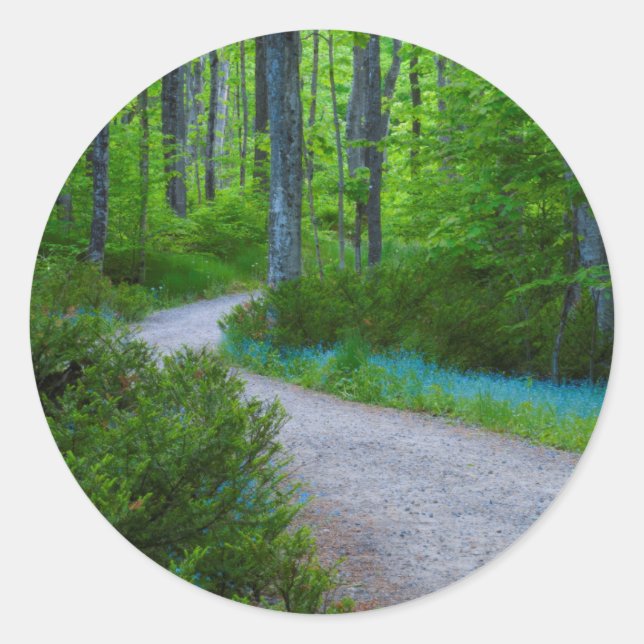 USA, Michigan. Path Thru The Woods Classic Round Sticker (Front)