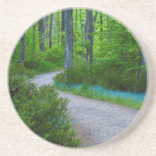 USA, Michigan. Path Thru The Woods Coaster