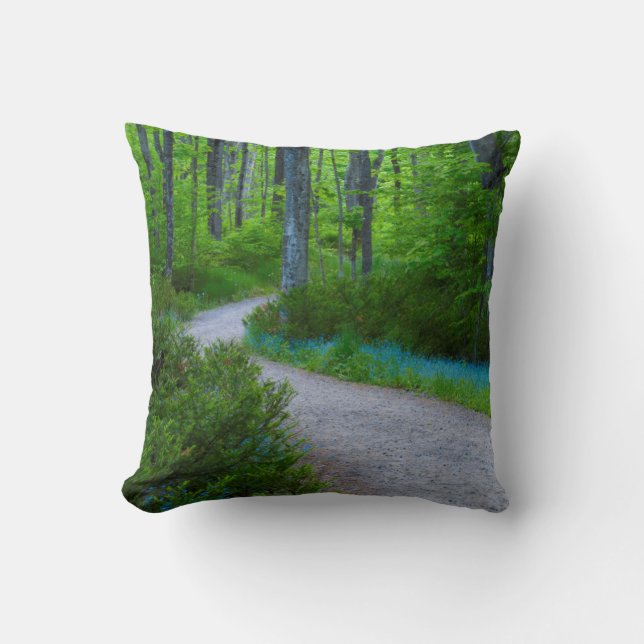 USA, Michigan. Path Thru The Woods Cushion (Front)