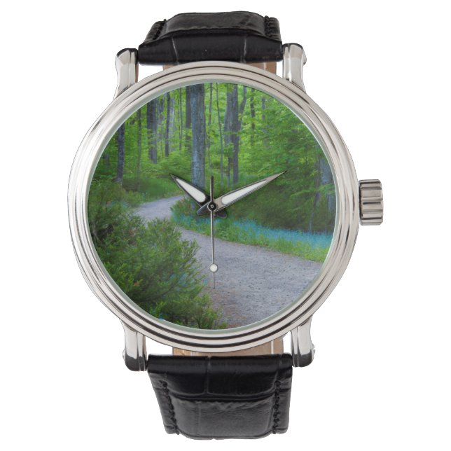 USA, Michigan. Path Thru The Woods Watch (Front)