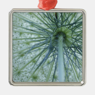 USA, Michigan. Queen-Anne's Lace viewed from Metal Tree Decoration