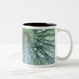 USA, Michigan. Queen-Anne's Lace viewed from Two-Tone Coffee Mug