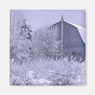 USA, Michigan, Rochester Hills. Snowy blue Magnet