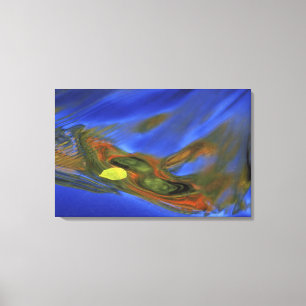 USA, Michigan, Upper Peninsula, birch leaf in Canvas Print
