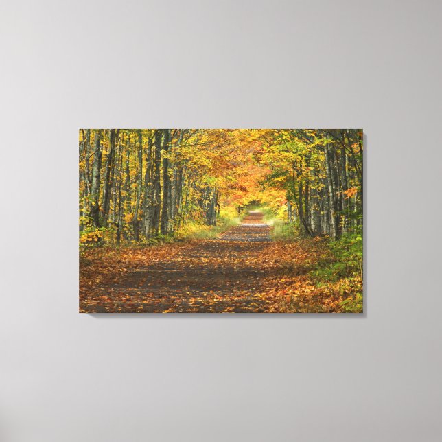 USA, Michigan, Upper Peninsula. Roadway into Canvas Print (Front)