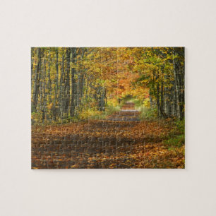 USA, Michigan, Upper Peninsula. Roadway into Jigsaw Puzzle