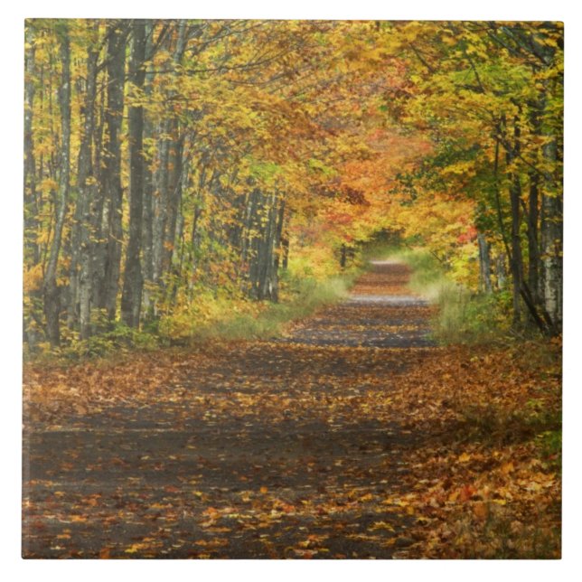 USA, Michigan, Upper Peninsula. Roadway into Tile (Front)