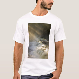 USA, Michigan, Upper Peninsula. Sunbeams on T-Shirt