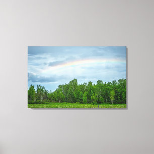 USA, Minnesota. Green meadow with wildflowers Canvas Print