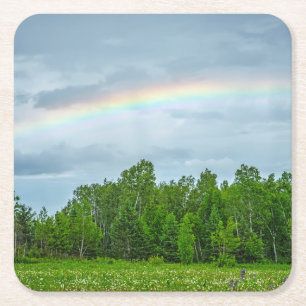 USA, Minnesota. Green meadow with wildflowers Square Paper Coaster