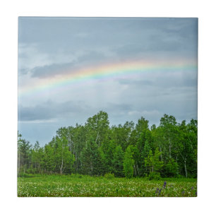 USA, Minnesota. Green meadow with wildflowers Tile