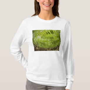 USA, MInnesota, North Shore Lake Superior, T-Shirt