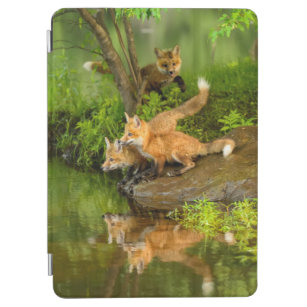 USA, Minnesota, Sandstone, Minnesota Wildlife 7 iPad Air Cover