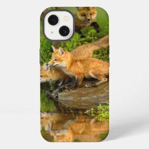 USA, Minnesota, Sandstone, Minnesota Wildlife 7 iPhone 13 Case
