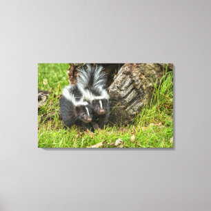 USA, Minnesota, Sandstone, Minnesota Wildlife Canvas Print